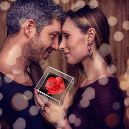 100 Languages 'I Love You' Projection Necklace with Rose Gift Box